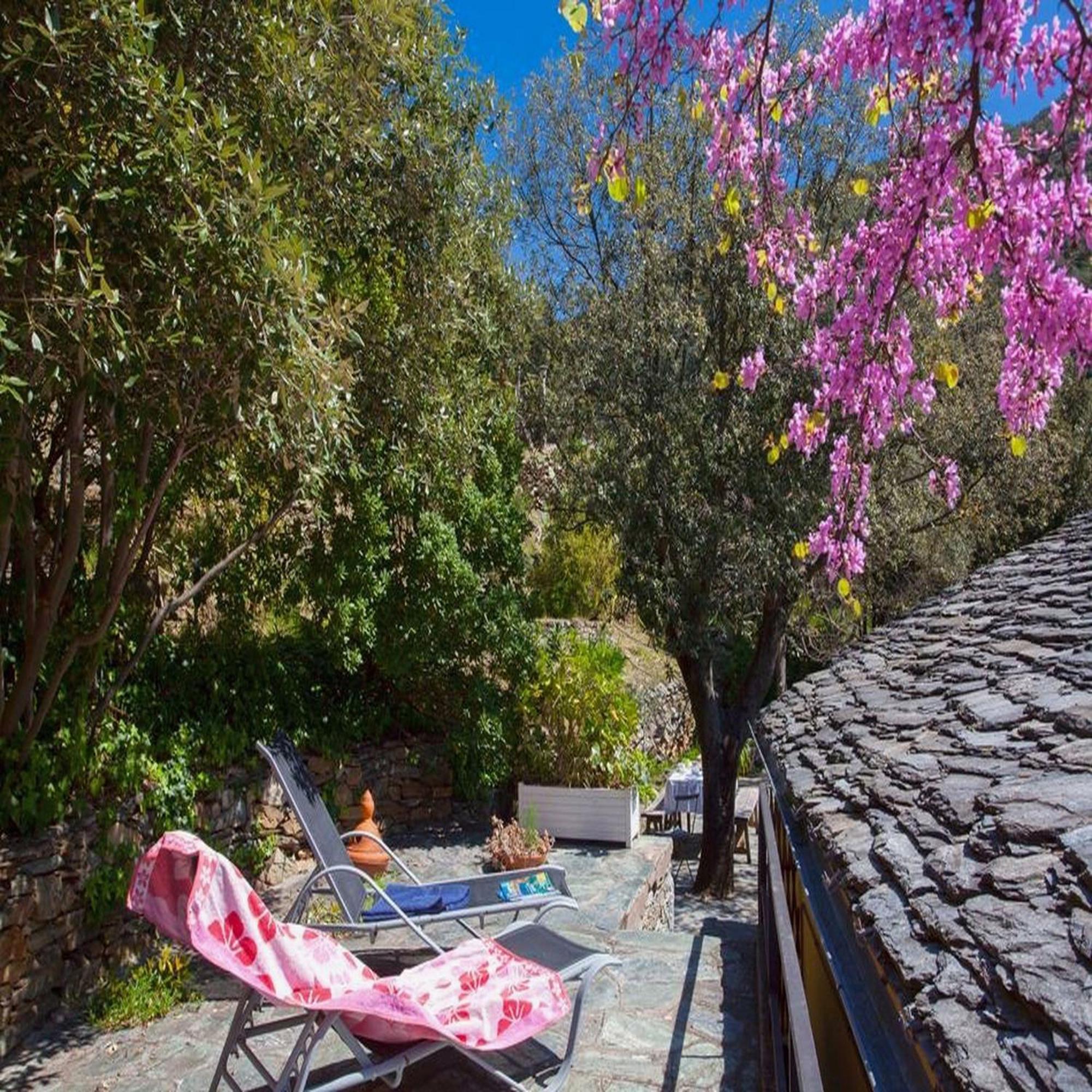 Les Gites Du Cap Corse Nonza Habitación foto