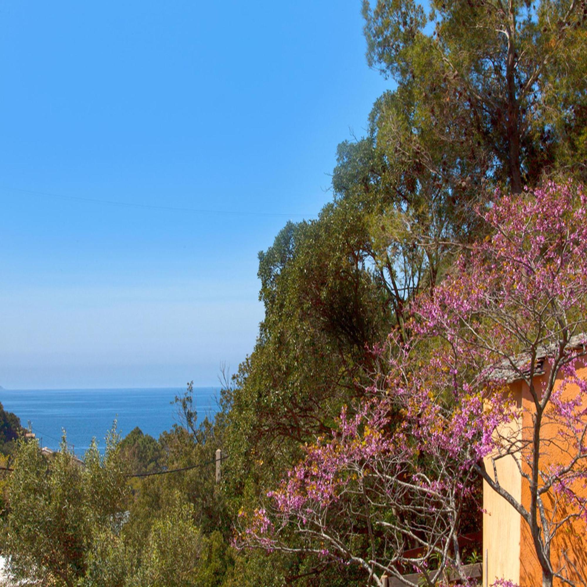 Les Gites Du Cap Corse Nonza Habitación foto