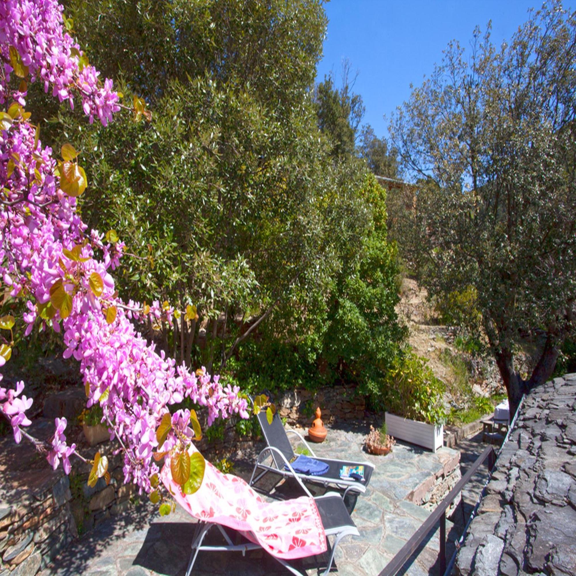 Les Gites Du Cap Corse Nonza Habitación foto