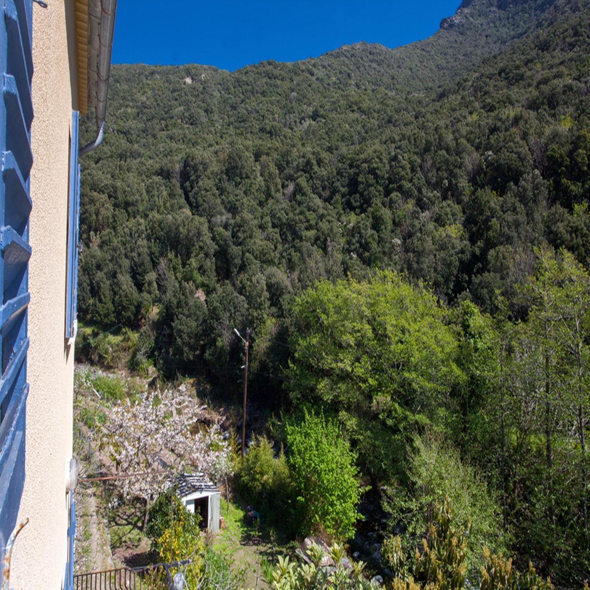 Les Gites Du Cap Corse Nonza Habitación foto