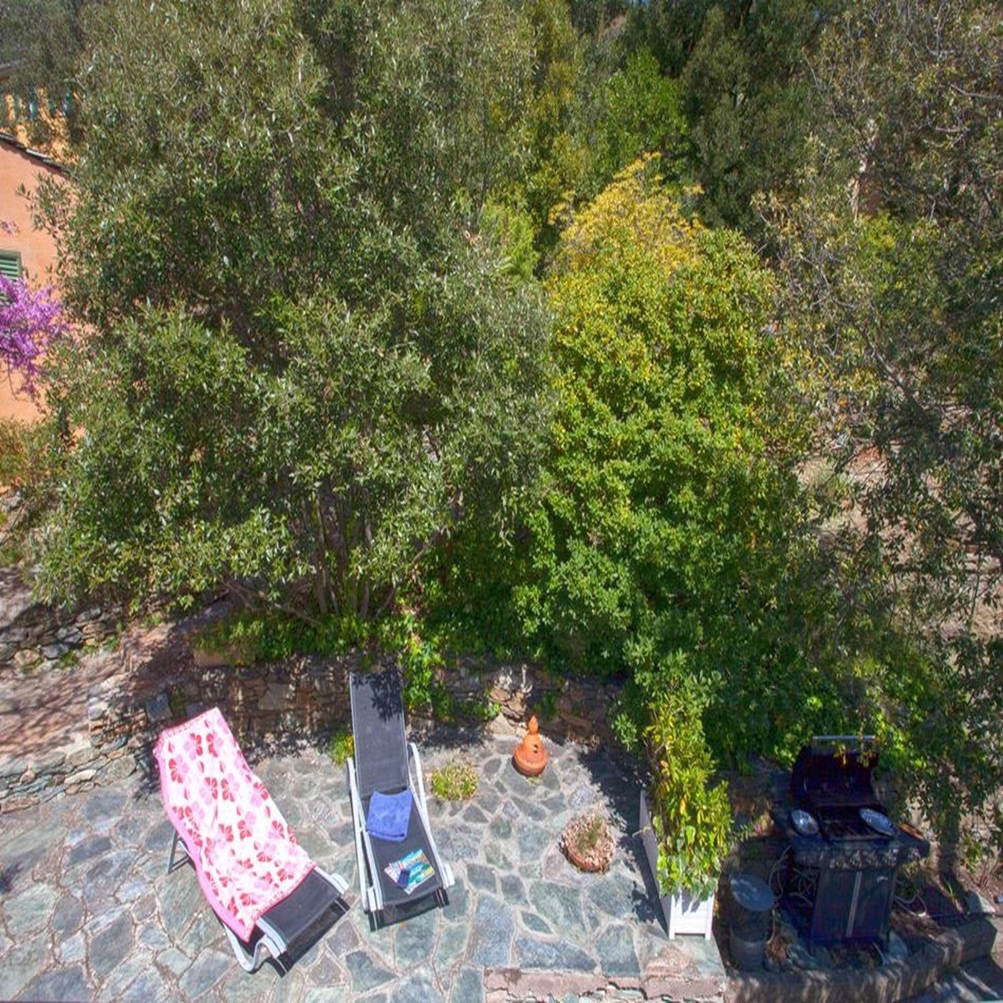 Les Gites Du Cap Corse Nonza Habitación foto